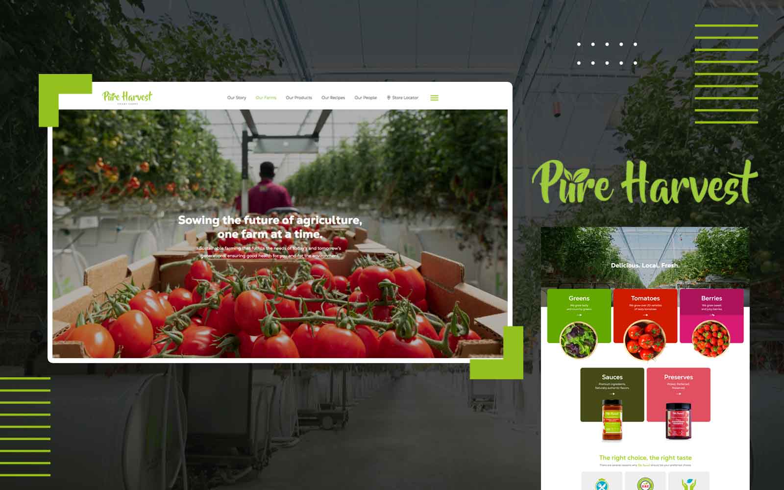 Top Reach Digital Client - Pure Harvest